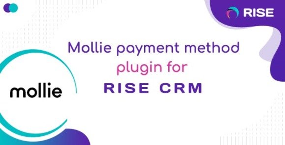 Mollie Payment Method for RISE CRM Plugin Nulled