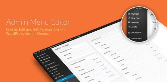 Admin Menu Editor Pro and Addons