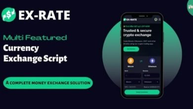 EX-RATE Complete Money Exchange Solution Nulled