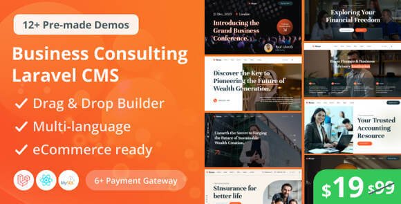 Bione Business Consulting Laravel CMS with Live Page Builder Script